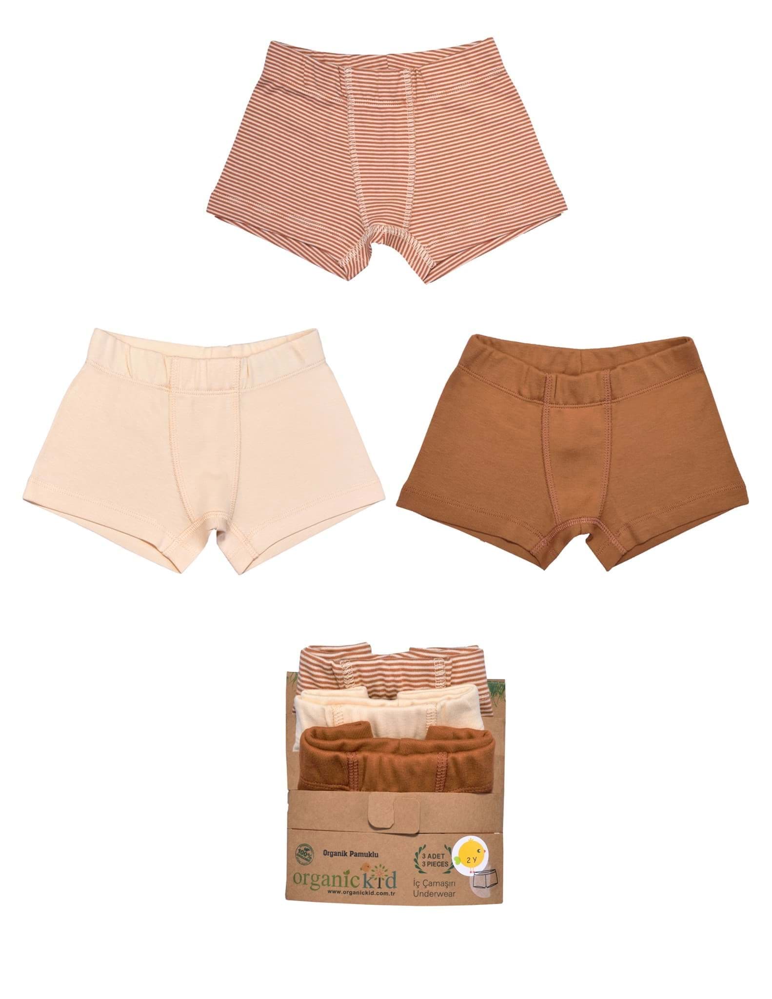 Cinnamon Erkek Çocuk İç Çamaşır Set 3lü resmi